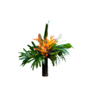 Bouquet Exotique Flamboyant (hauteur 80 à 100cm)