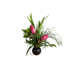 Bouquet Protea & Feuillage (hauteur 40 à 50cm)