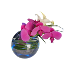 Centre de table zen - Orchidées & feuillage (diam 20cm)