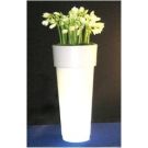 Marcantonio planter with white amaryllis (height 120cm)