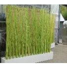 Painted wicker partition (length 1m)