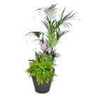 Planter with thatch palm (height 200cm)