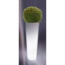 Light planter with boxwood ball (diameter 44cm / height 120cm)