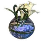 Bouquet of calla lilies and hydrangeas (40x30cm)