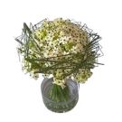 Bouquet of ornithogalum (40x30cm)