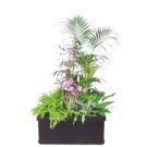 Plant divider with a selection of plants