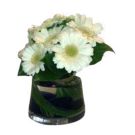 Centrepiece of white gerberas (diam 20cm)