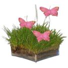 Centrepiece with grass and butterflies (15x15cm)