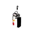 Structure lifting with electrical hoist